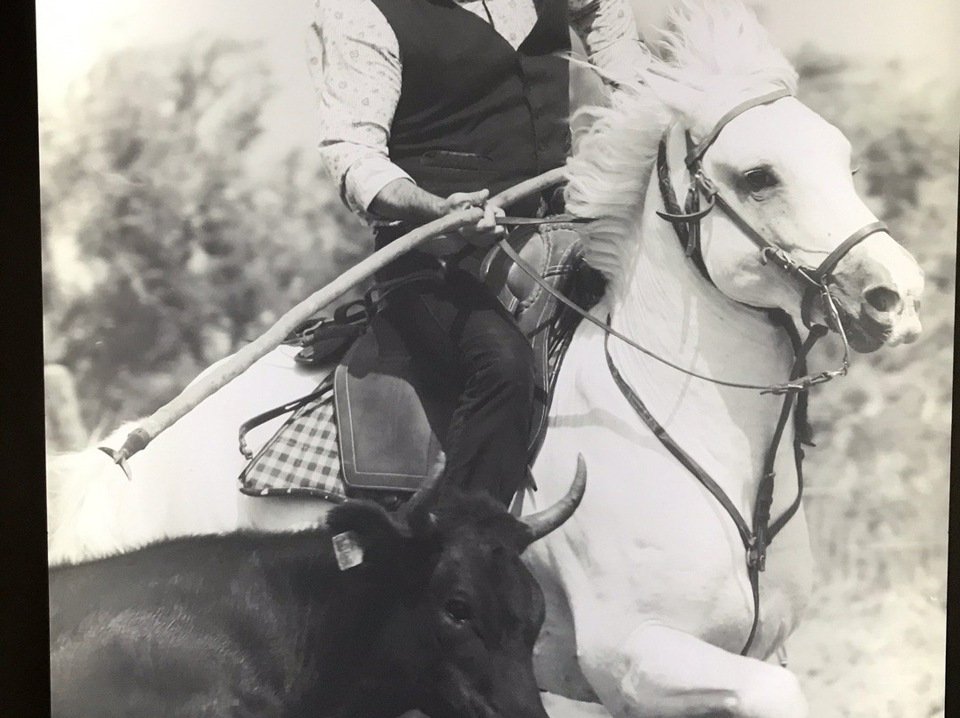 Musee de la Camargue-阿尔勒必去景点