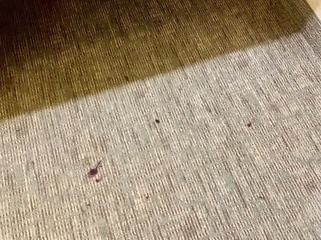 Days Inn by Wyndham Saint Pauls主图