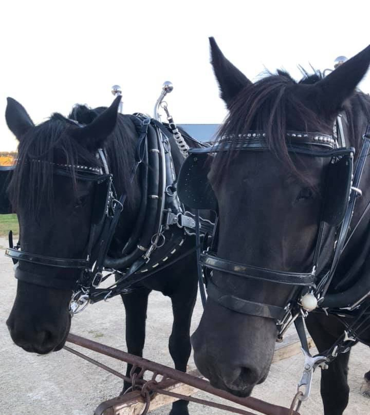 Wine Country Wagon-Gerald必去景点