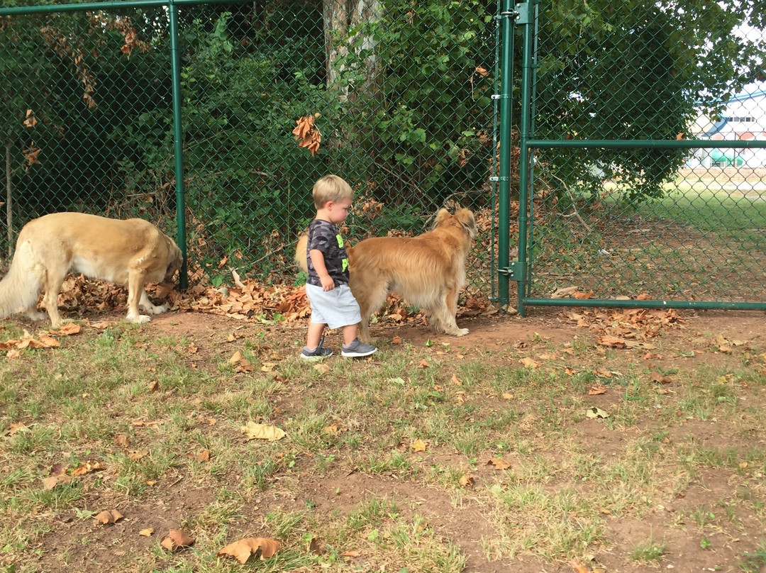 Paws Valley Dog Park-Pauls Valley必去景点