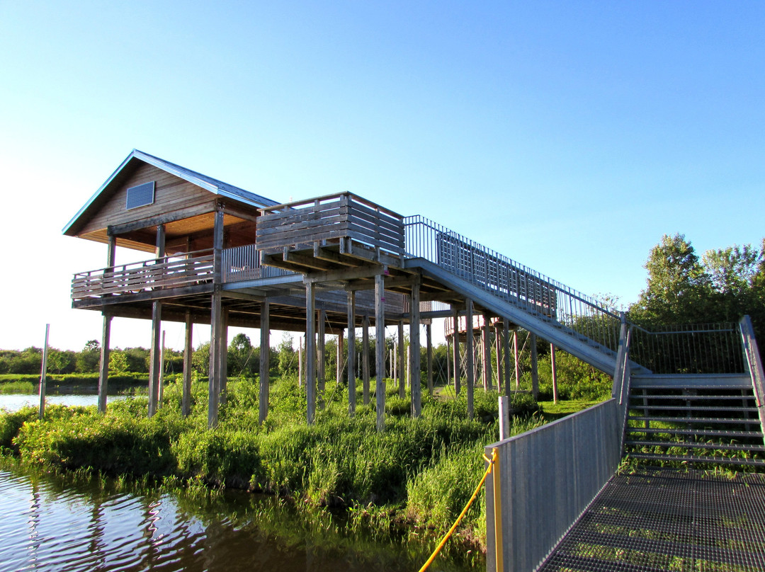 Domaine Taschereau-Parc Nature-Sainte-Marie必去景点