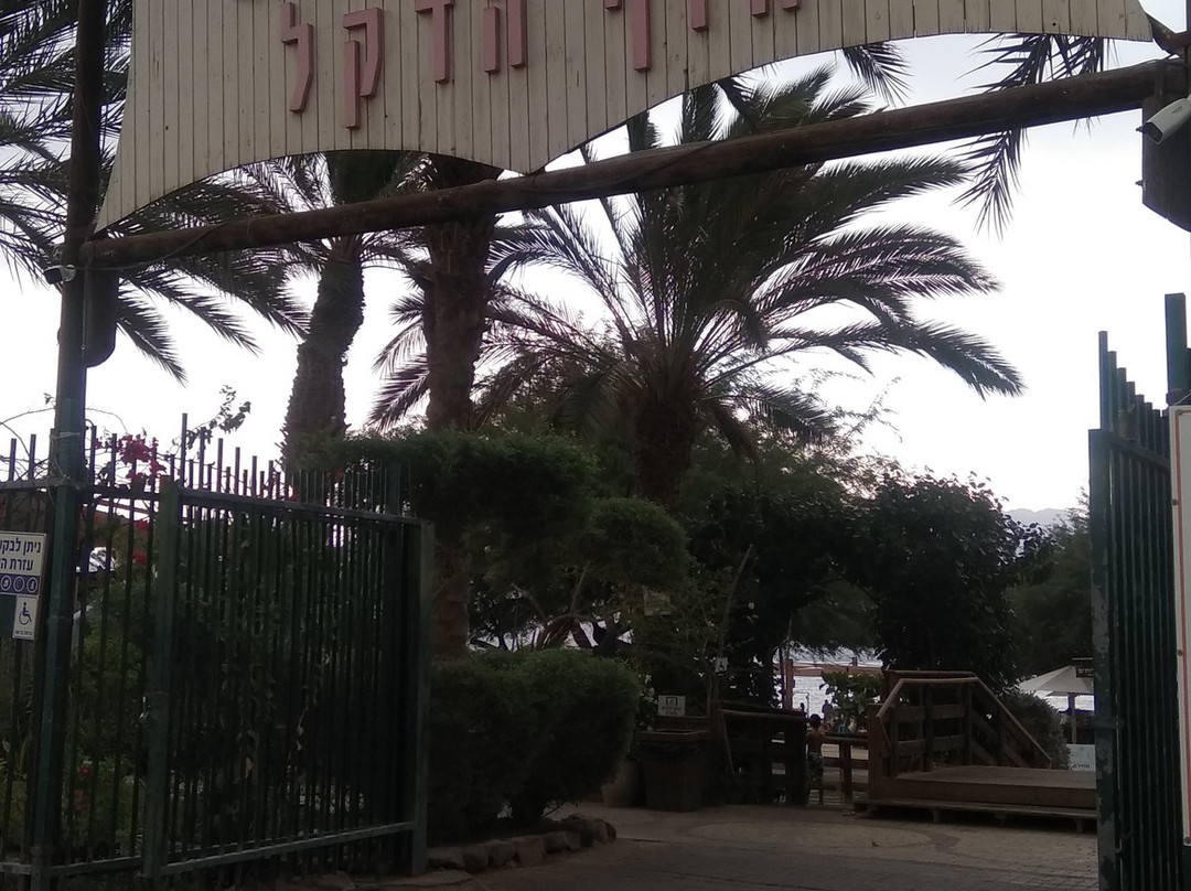 Dekel Beach-埃拉特必去景点