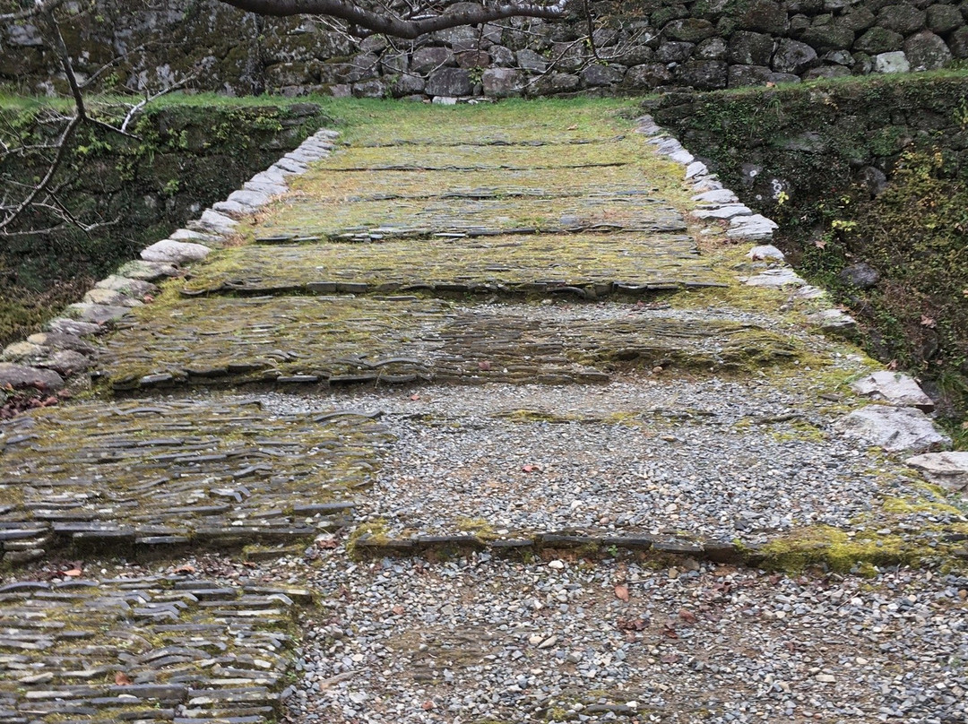 Akizuki Castle Remains景点图片