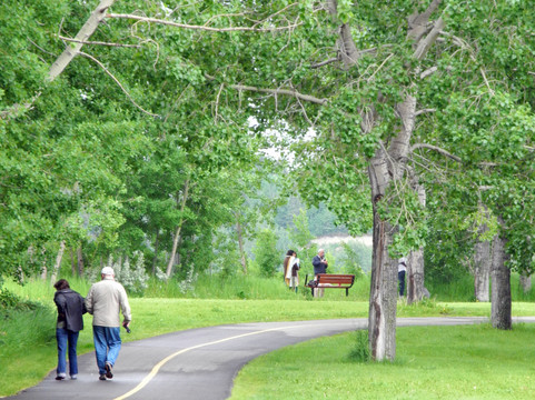 North Glenmore Park-卡尔加里必去景点