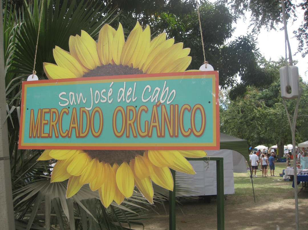 San Jose del Cabo Mercado Organico景点图片