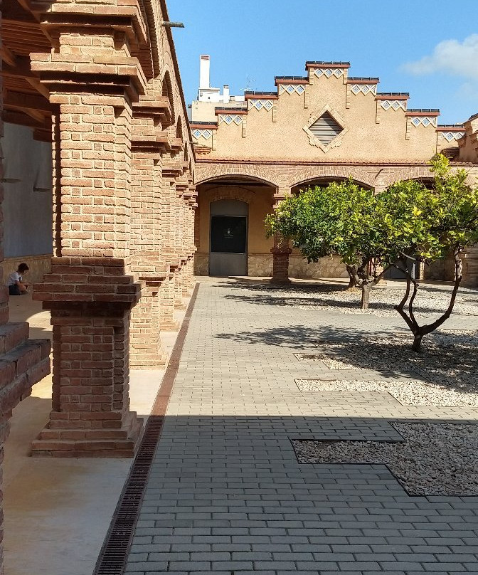 Museu de Tortosa景点图片