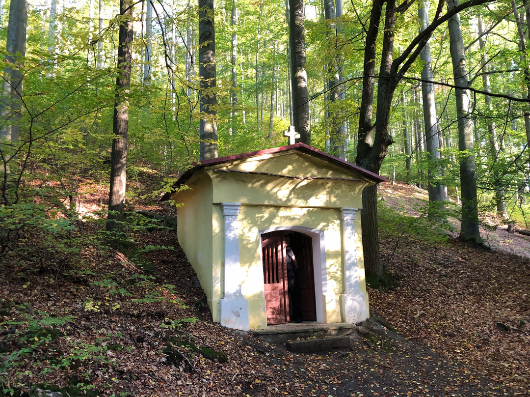 Národní Geopark Železné hory景点图片