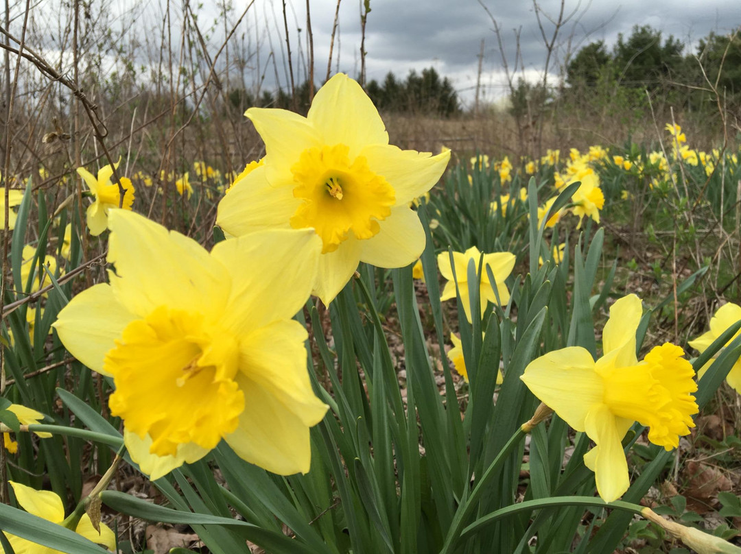 Gahanna Woods State Nature Preserve景点图片