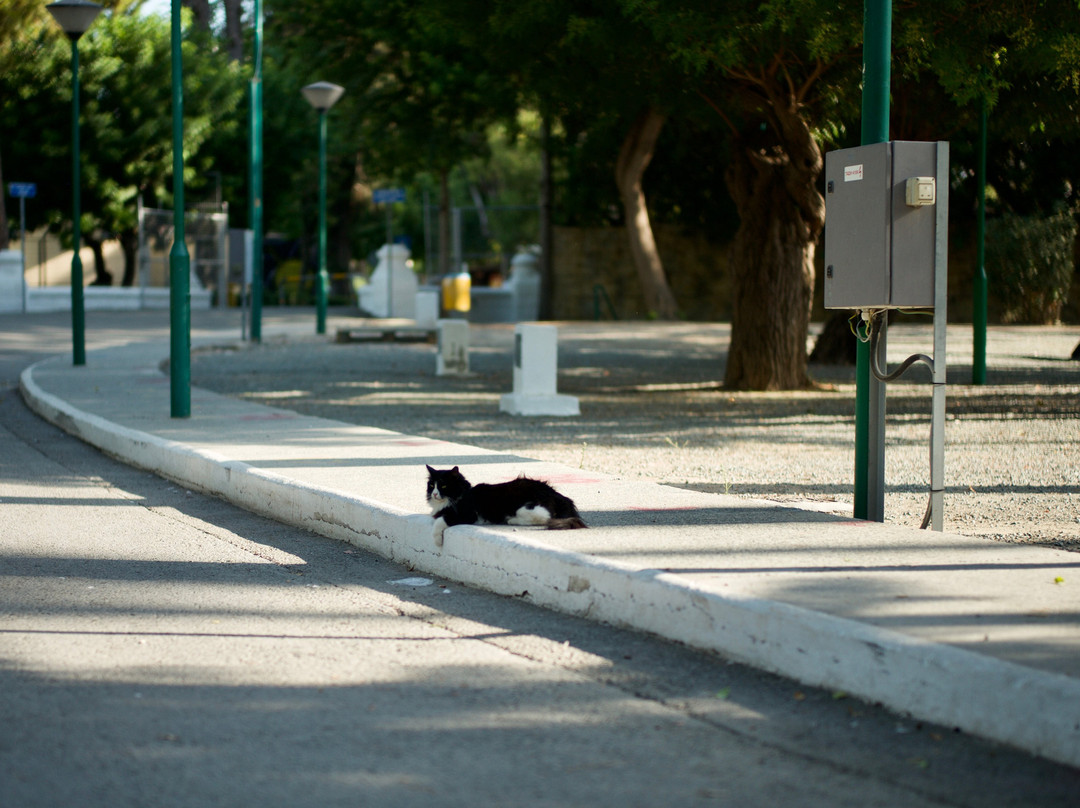 Limassol Municipal Gardens-利马索尔必去景点