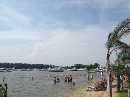 Georgetown旅游景点-jellyfish joel's