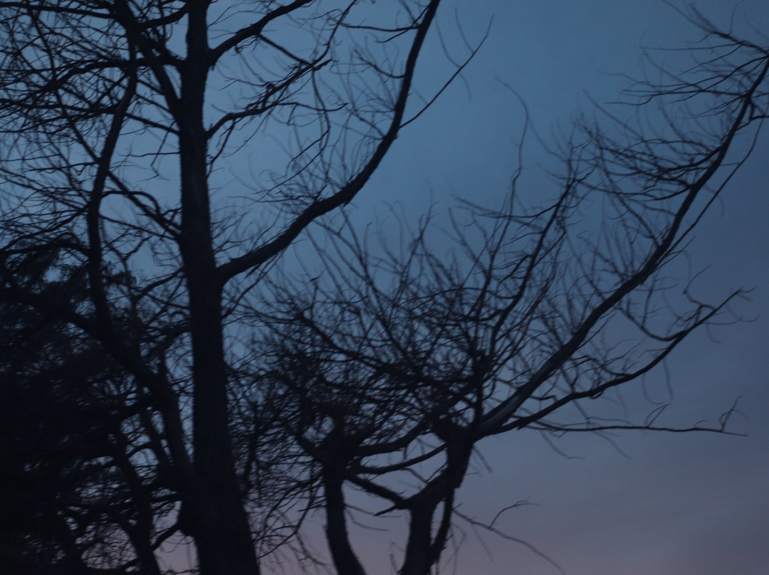 Polo Beach-瓦亚禄必去景点