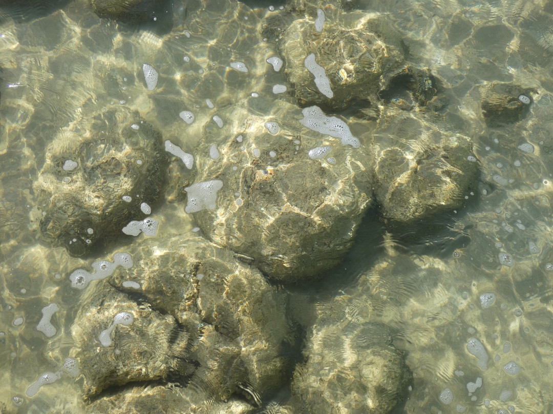 Yalgorup National Park-曼杜拉必去景点