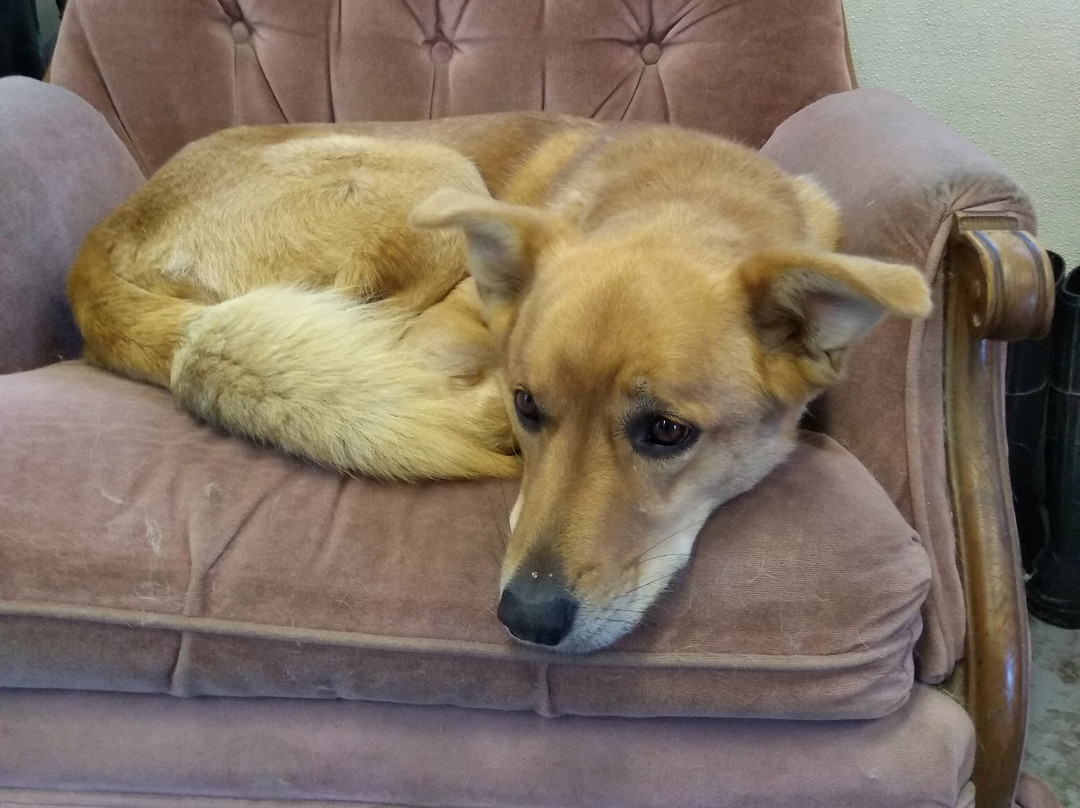 Brocklebank Craft Brewing-Tunbridge必去景点