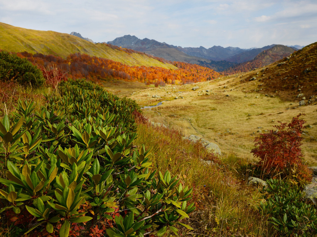 Lake Mzi-Gagra必去景点
