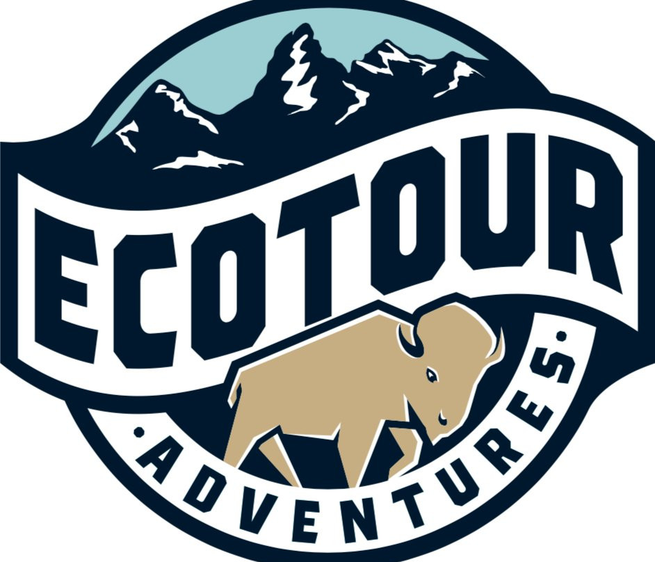Jackson Hole Eco Tour Adventures景点图片