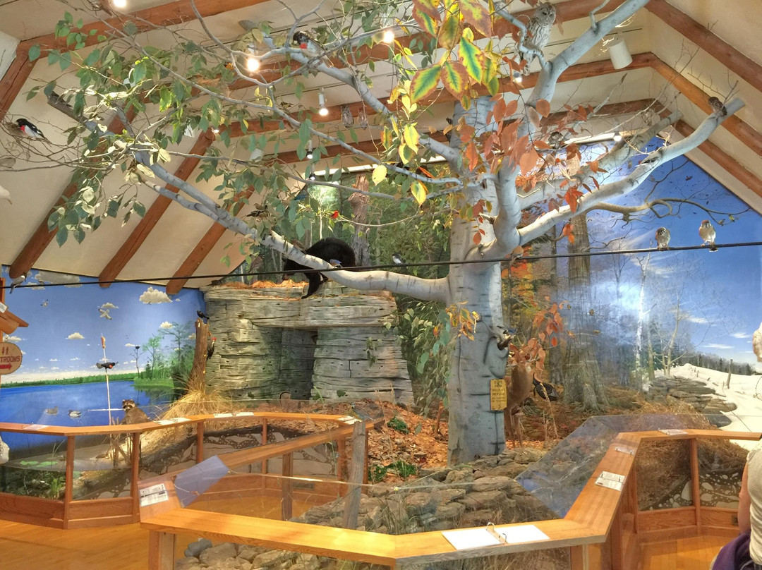 斯特金贝旅游景点-Door County Historical Museum