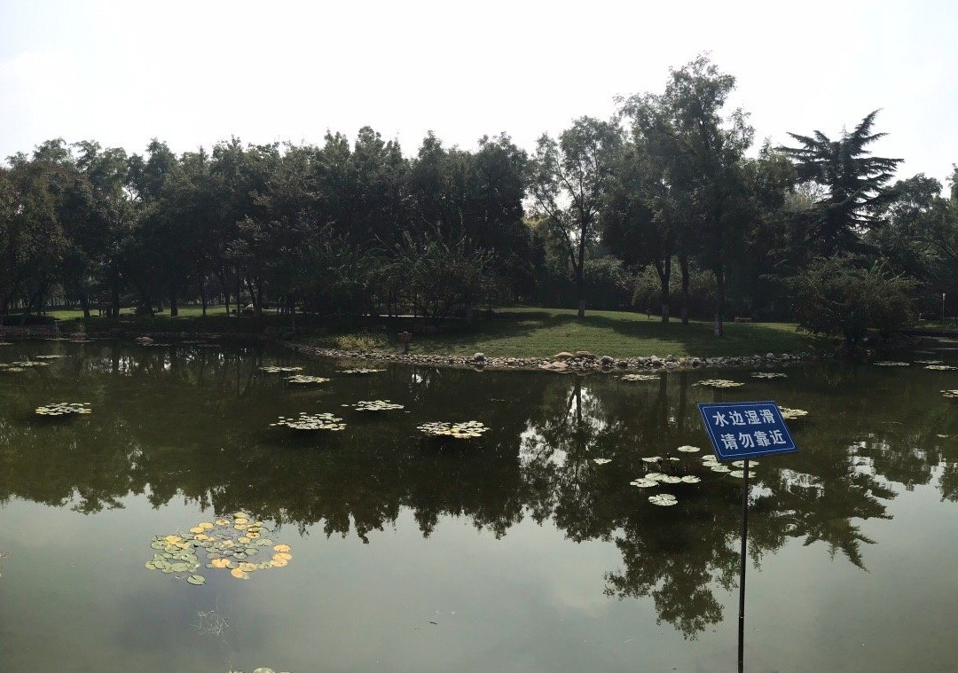 潍坊人民公园景点图片