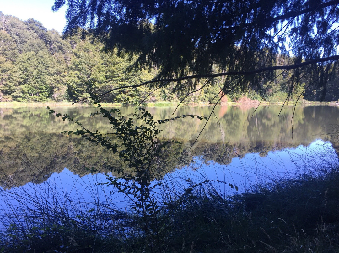 Laguna Verde景点图片