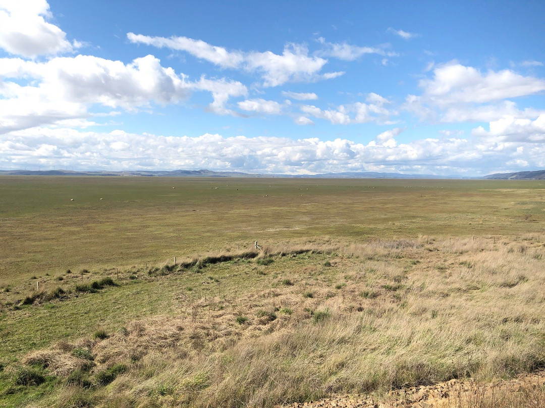 Lake George-Bungendore必去景点