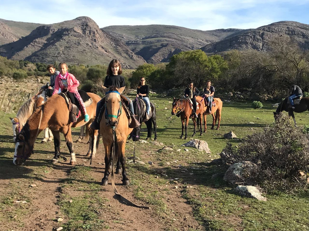 Castillo de Villa Ventana