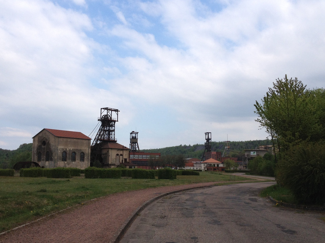 Musee Les Mineurs Wendel景点图片