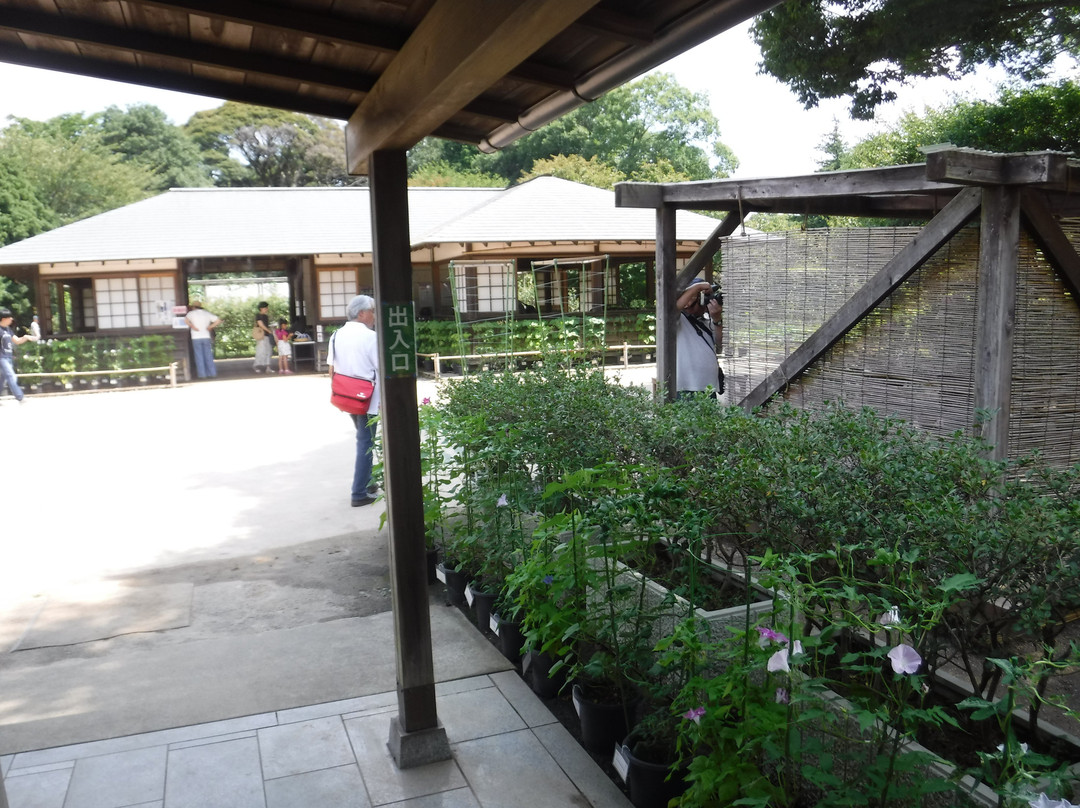 Kurashino Botanical Garden-佐仓市必去景点