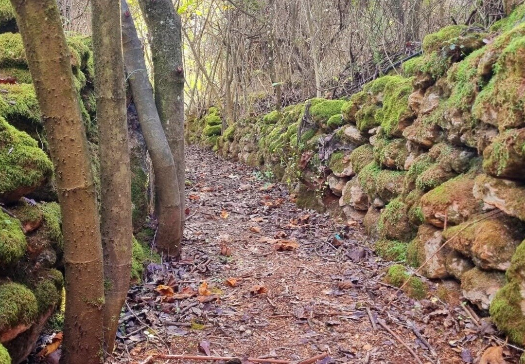 Bosque Encantado de Hornachuelos景点图片