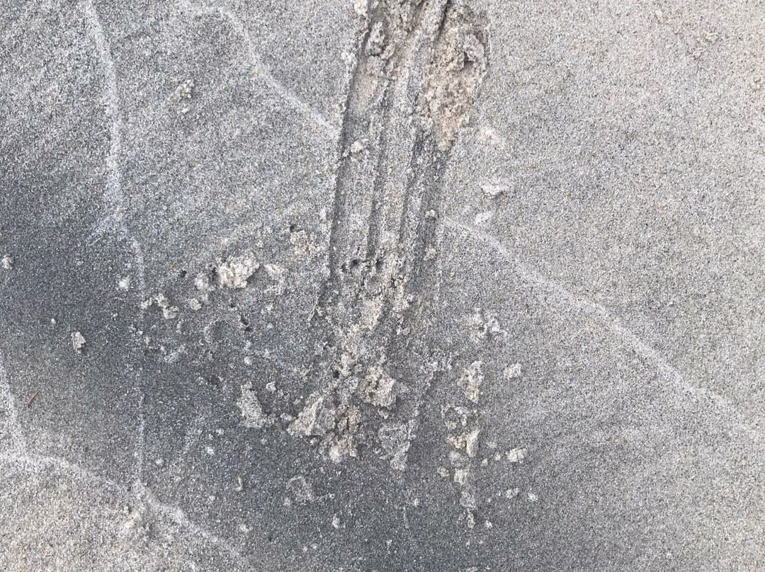 Murtle Lake Provincial Park-Blue River必去景点