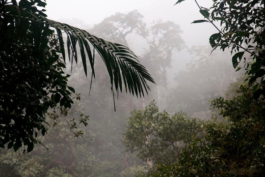 Mindo things to do-明多必去景点