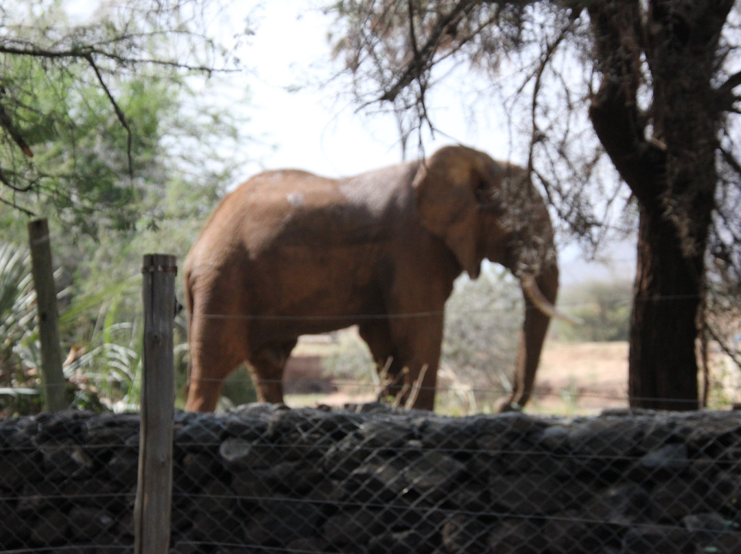 阿什尼尔桑布鲁营地酒店主图