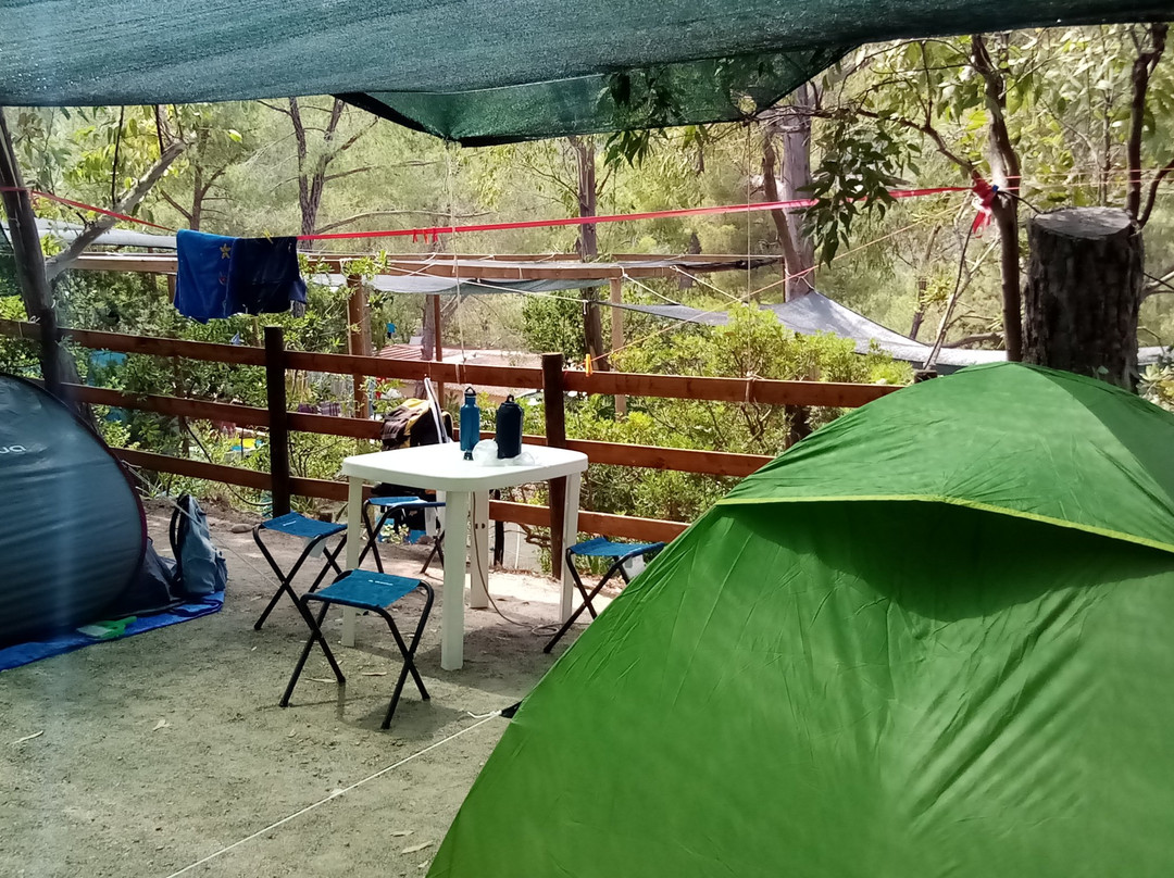 Camping Laconella景点图片