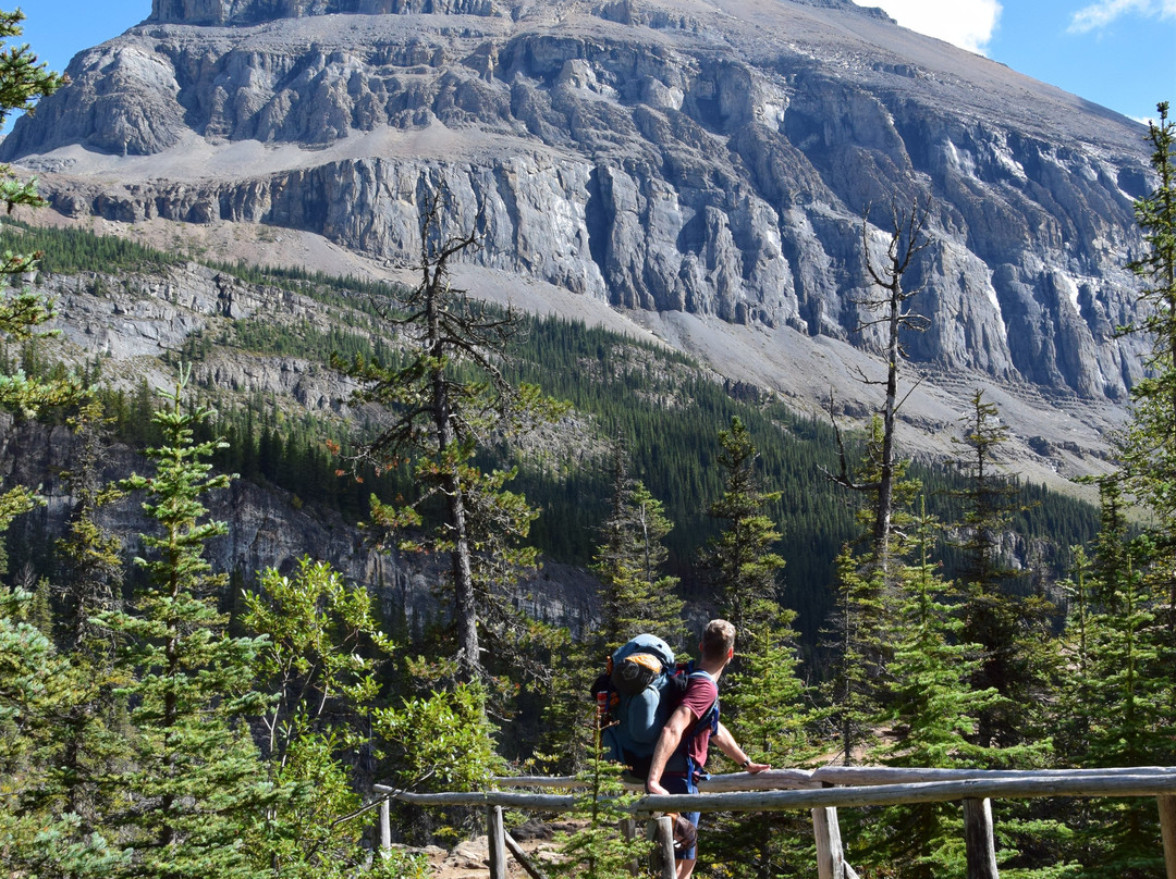 Berg Lake Trail-Mount Robson必去景点