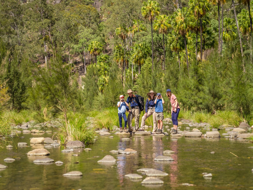 Australian Nature Guides景点图片