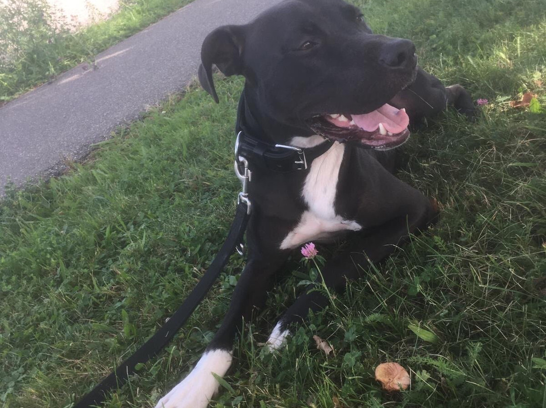 Landgasthof Hotel Roger主图