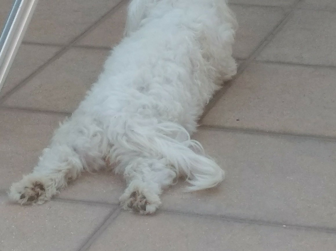 Demetra Studios主图