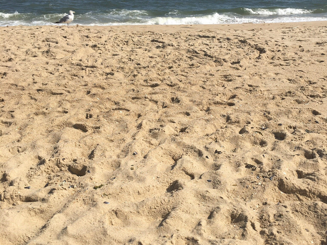 Sea Girt Beach and Boardwalk-Sea Girt必去景点