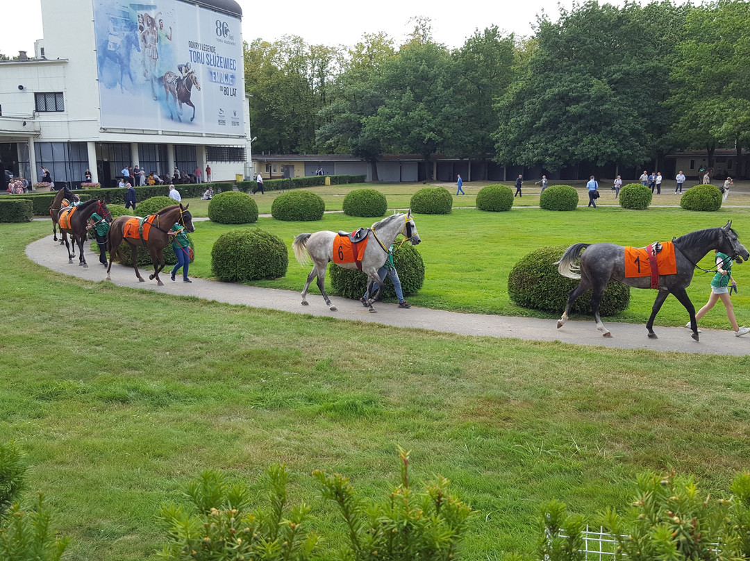 Sluzewiec Horse Race Track景点图片