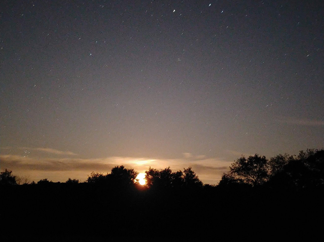 Potter County Stargazing Tours景点图片