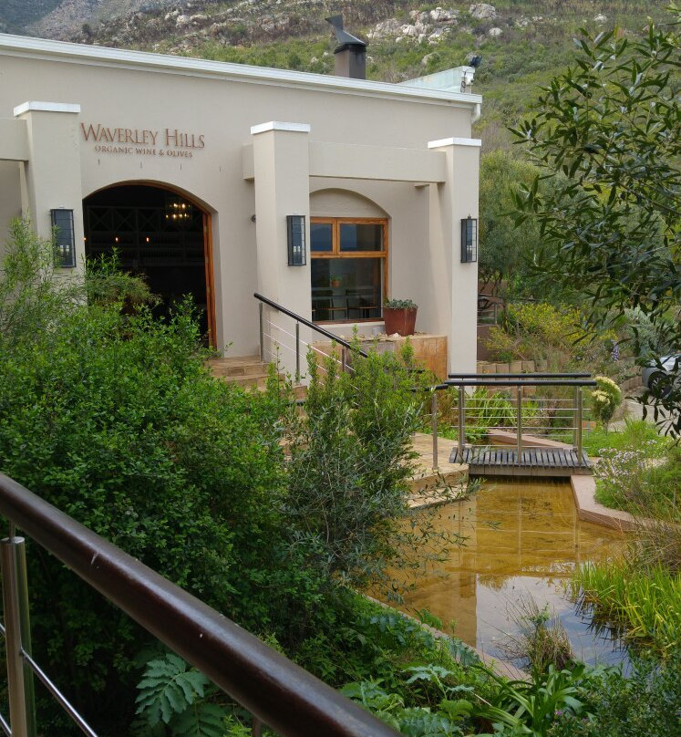 Waverley Hills Organic Wine and Olives景点图片