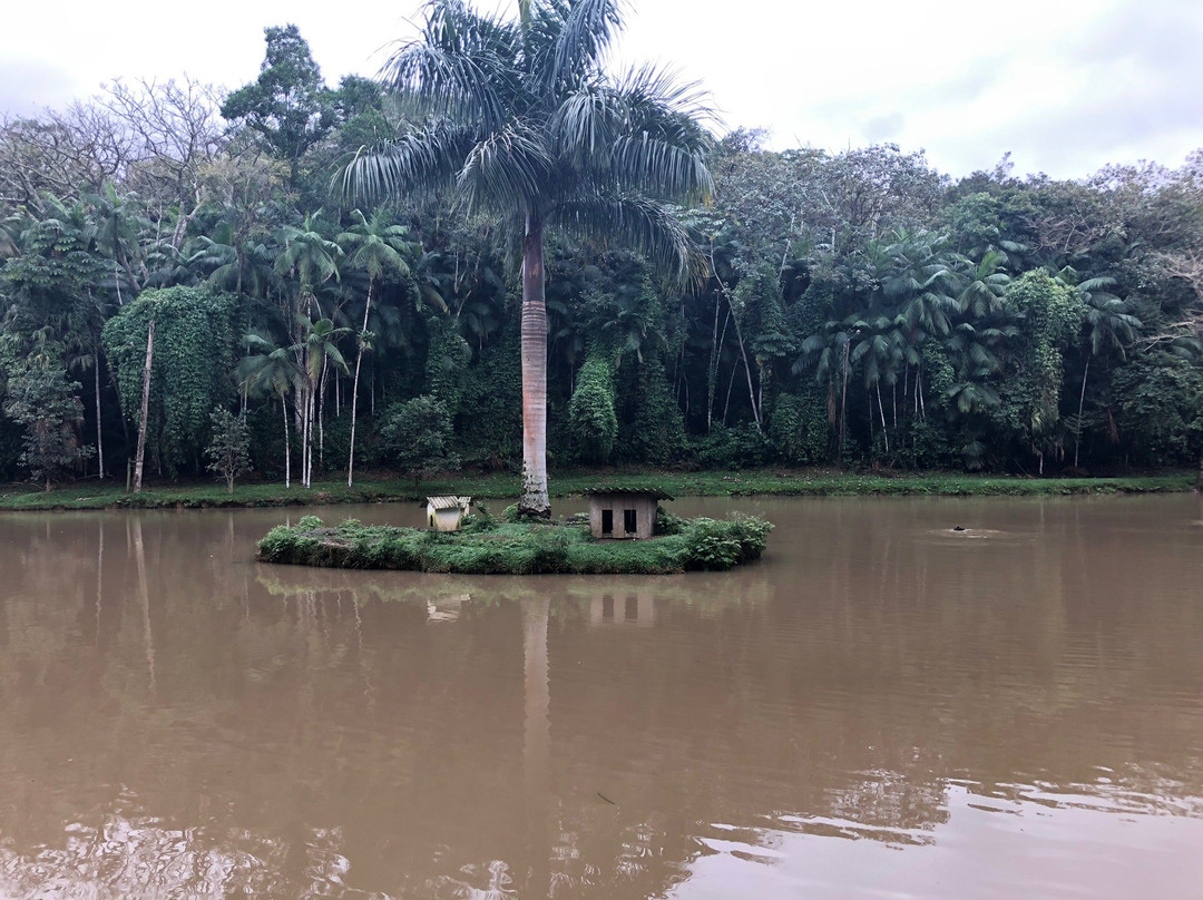 Timbó Botanical Garden-Timbo必去景点