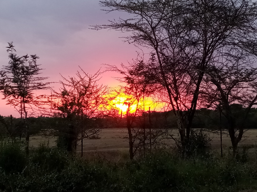 Vija tours and adventure-Thika必去景点