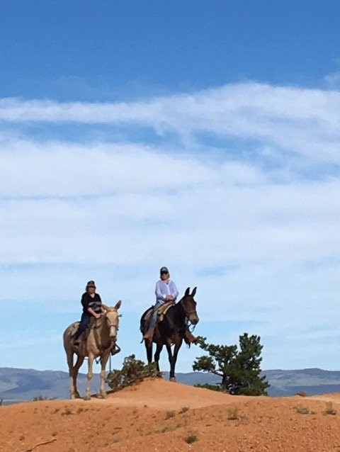 Mecham Outfitters-特罗皮克必去景点