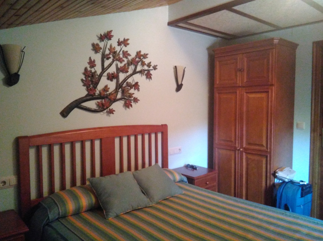 Hostal la Cepa主图