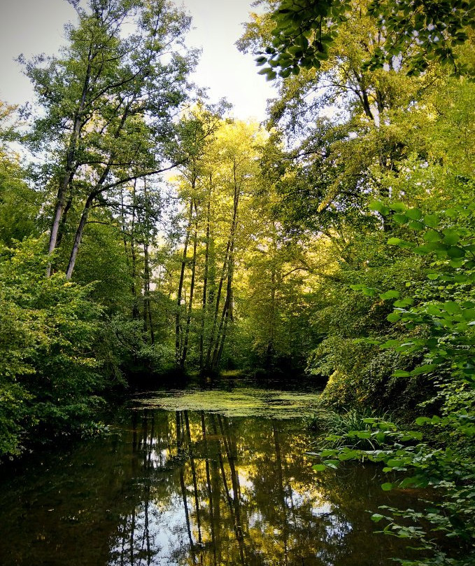 Parc de Séroule景点图片