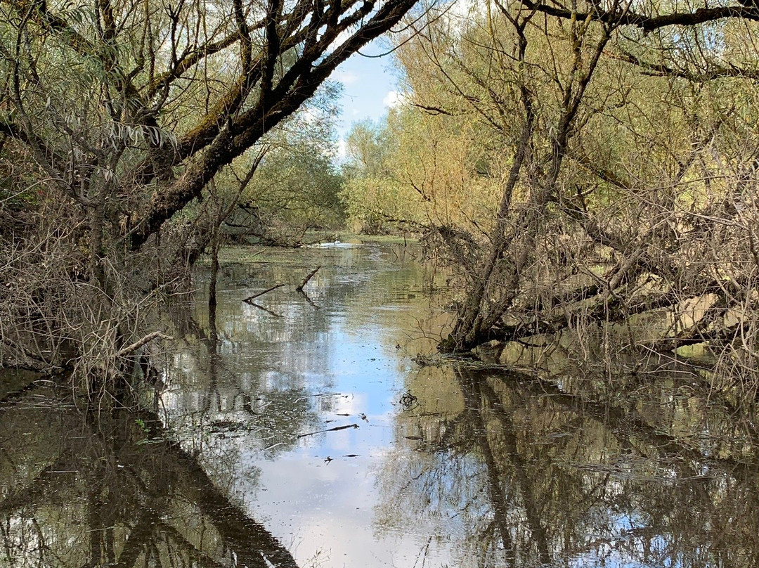 Blackwater Boating-Cappoquin必去景点