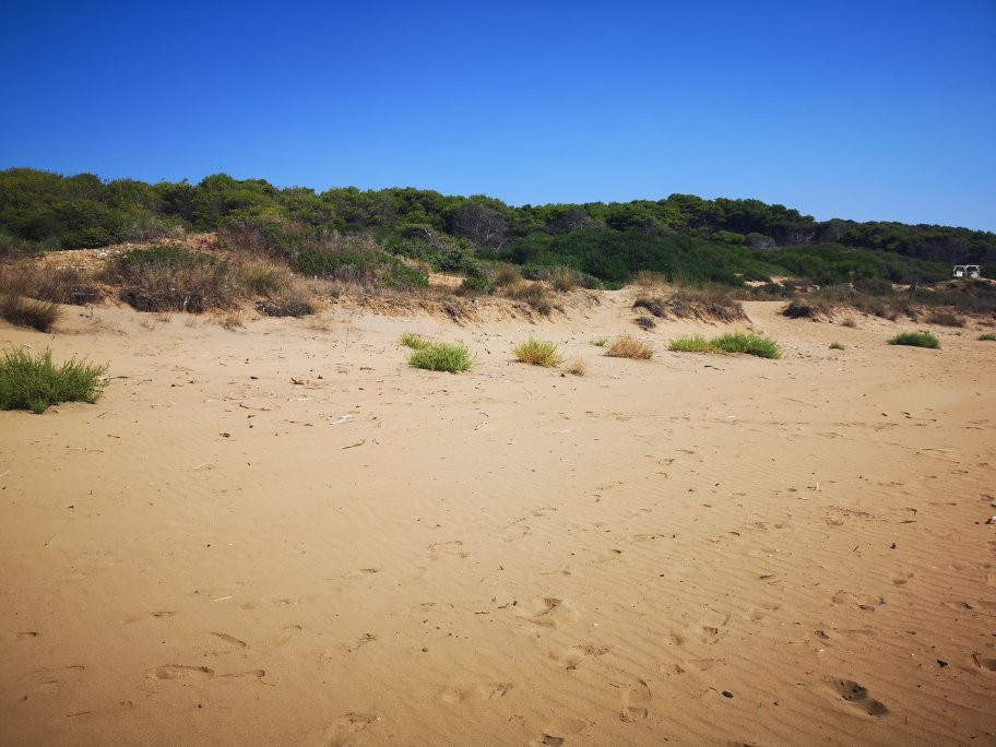 Spiaggia dei Gigli-Isola di Capo Rizzuto必去景点