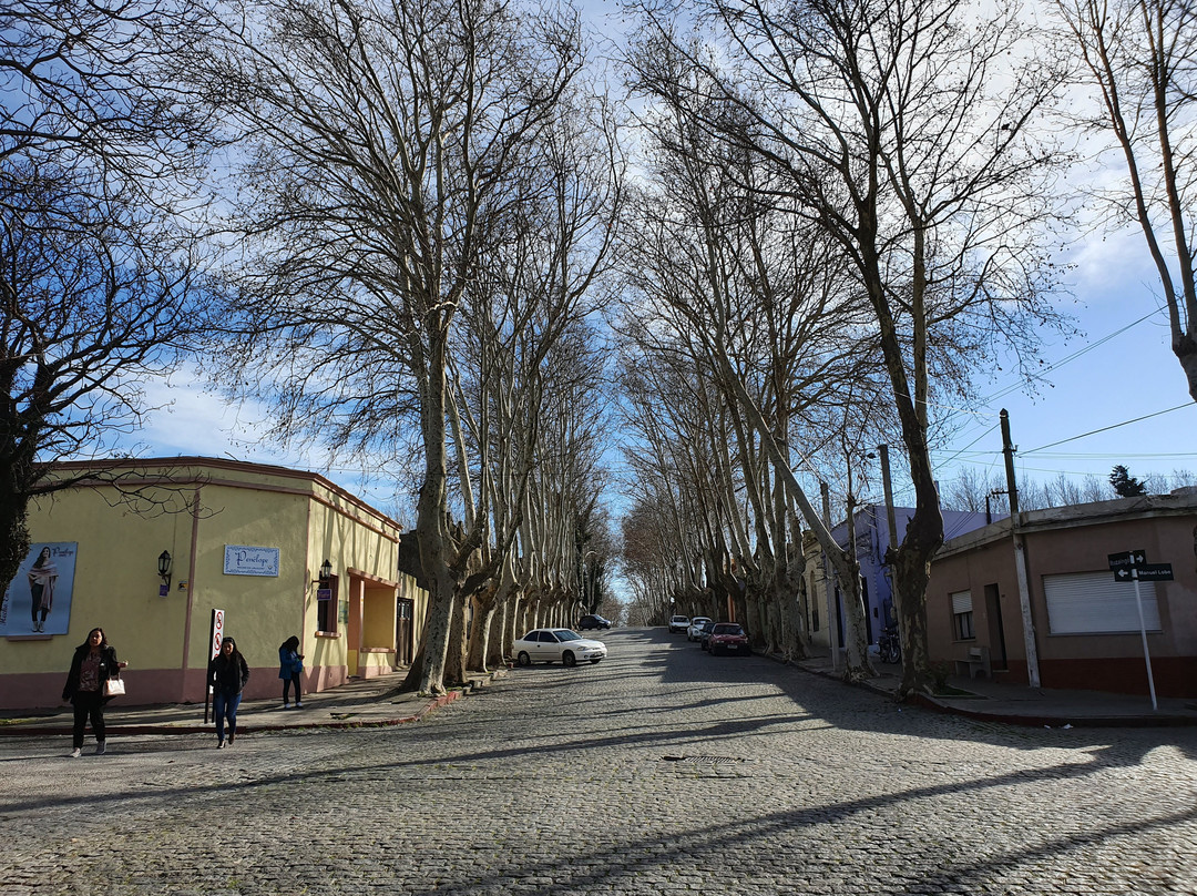 Bastion de San Pedro-科洛尼亚·德尔萨克拉门托城必去景点