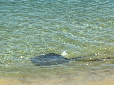 The Naturalist Beach Resort主图