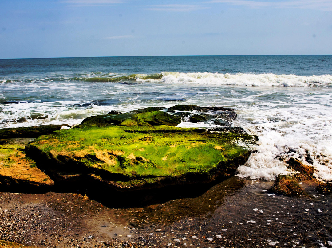 Coquina Outcrop景点图片
