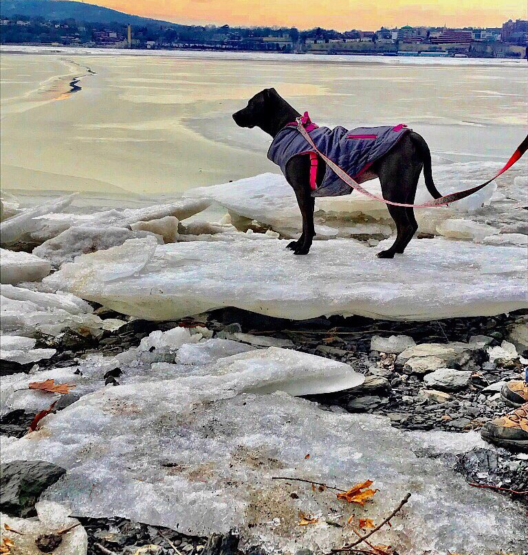 Scenic Hudson's Long Dock Park-Beacon必去景点